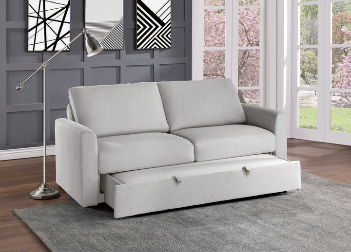 Convertible Studio Sofa With Pull-Out Bed